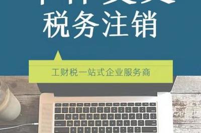 进出口代理 助企业扬帆国际市场的专业桥梁